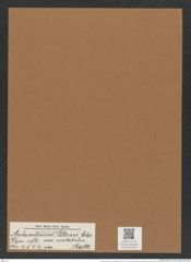 Aulacodiscus petersi var. notabilis Rattr. (de-Toni-Nr.: Genus 182, Species 4544) Zeichnungen Sammlung Grunow Mappe 04469 (Herbarium_W_Grunow_drawings_Folder_04469)